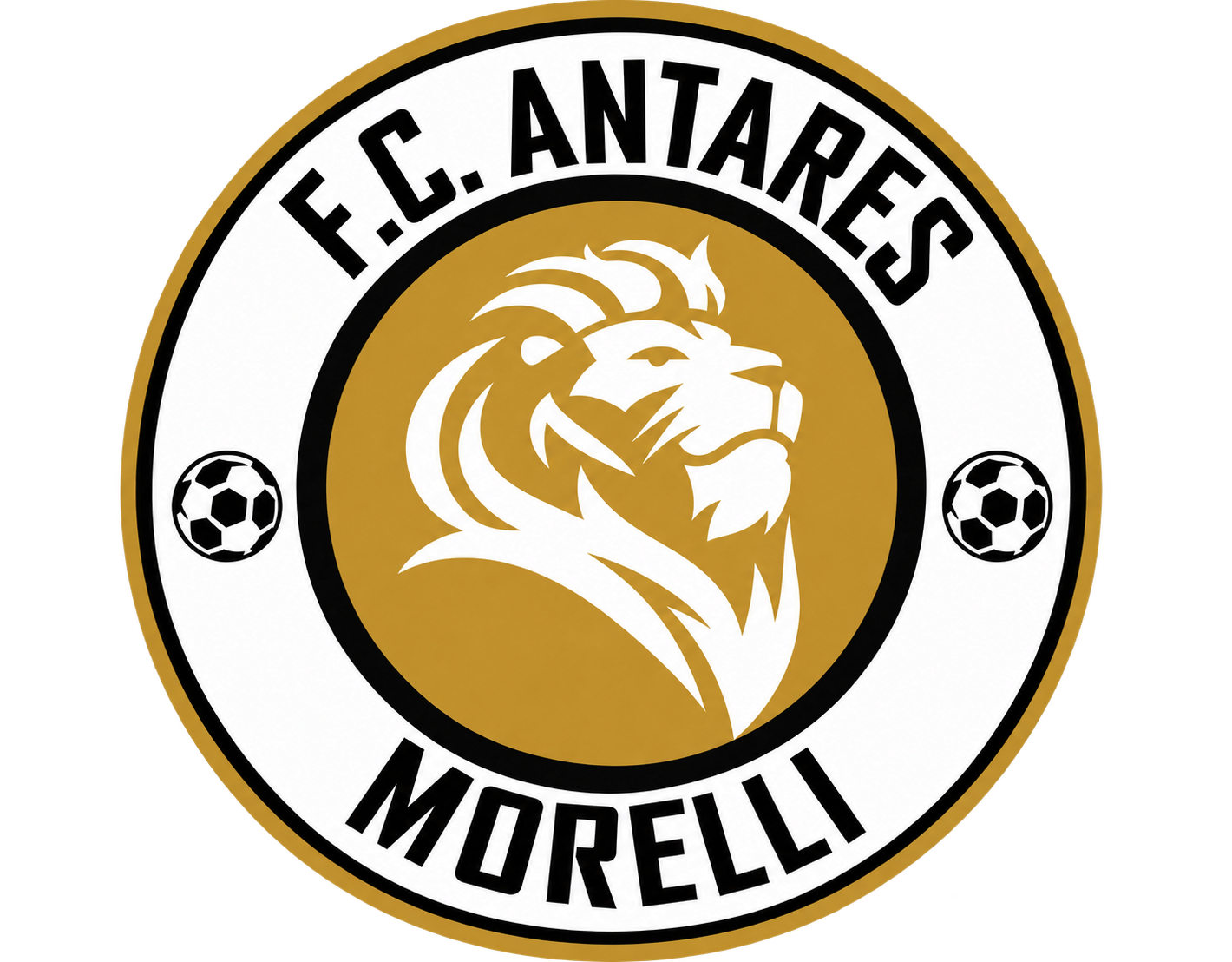 Escudo de club 01